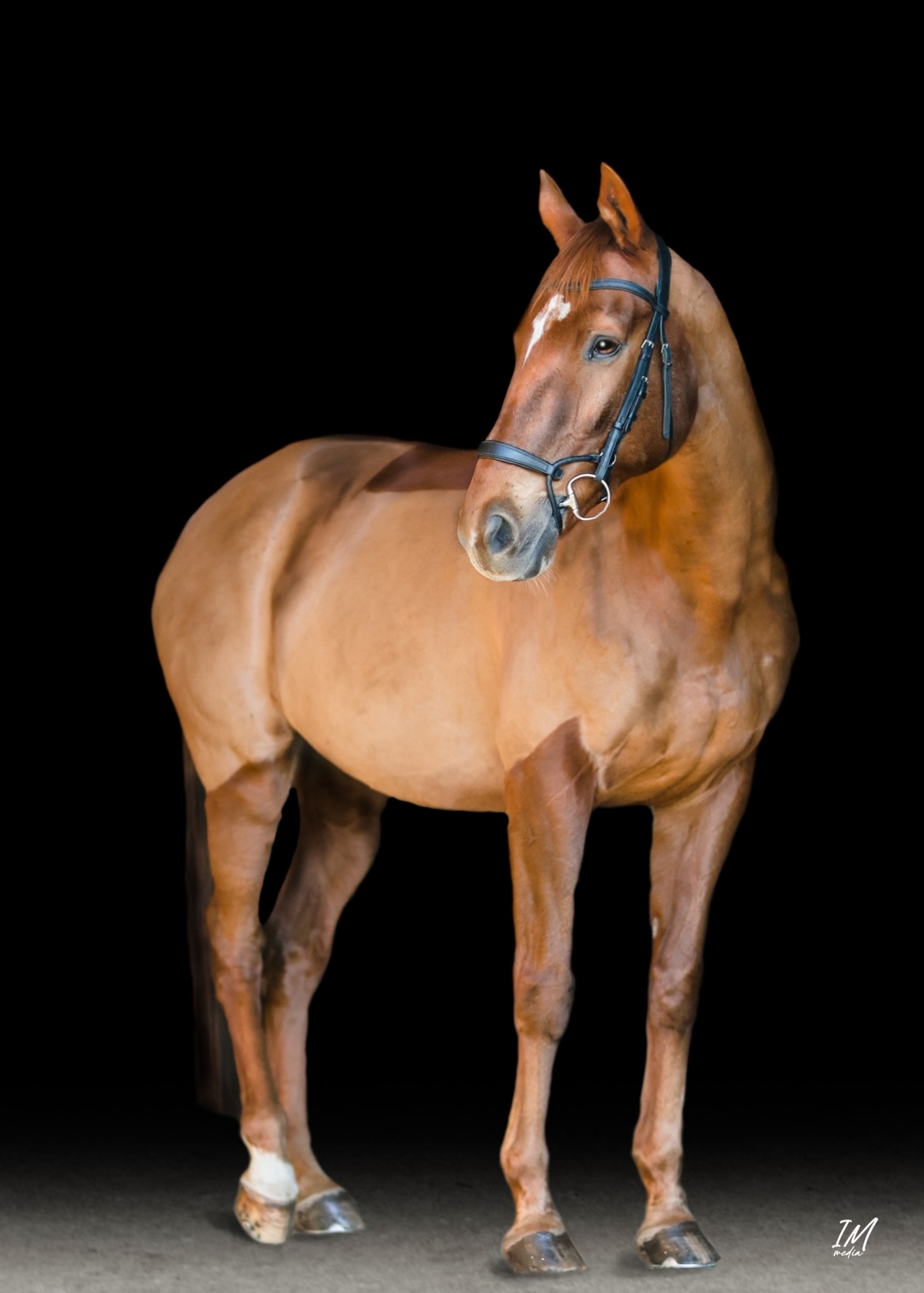 Welcome... - Beakon Hill Equestrian at Rokeby Farm Stables | Facebook