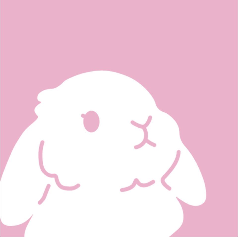 moko forever ︎₊ ⊹ this 2 bunnies are up for adoption on my etsy shop ...