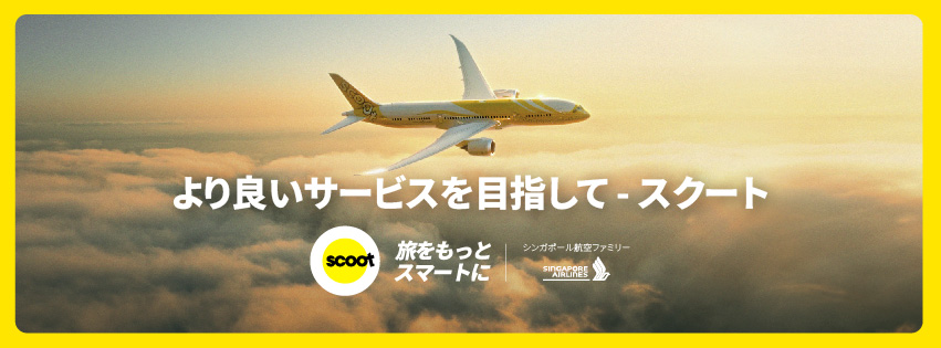 FlyScoot