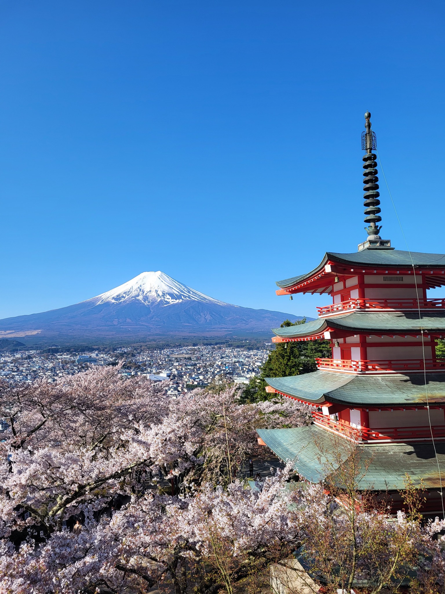 Diana in Japan