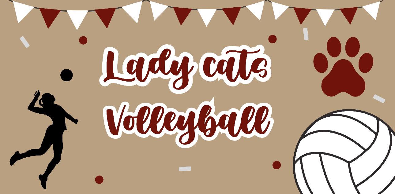 Ray HS Volleyball