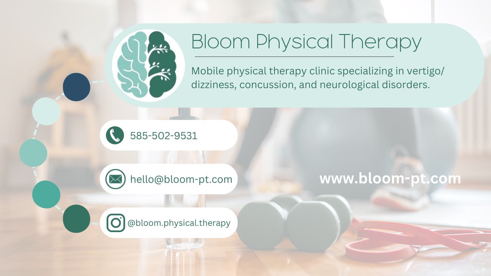 Bloom Physical Therapy PLLC | Rochester NY