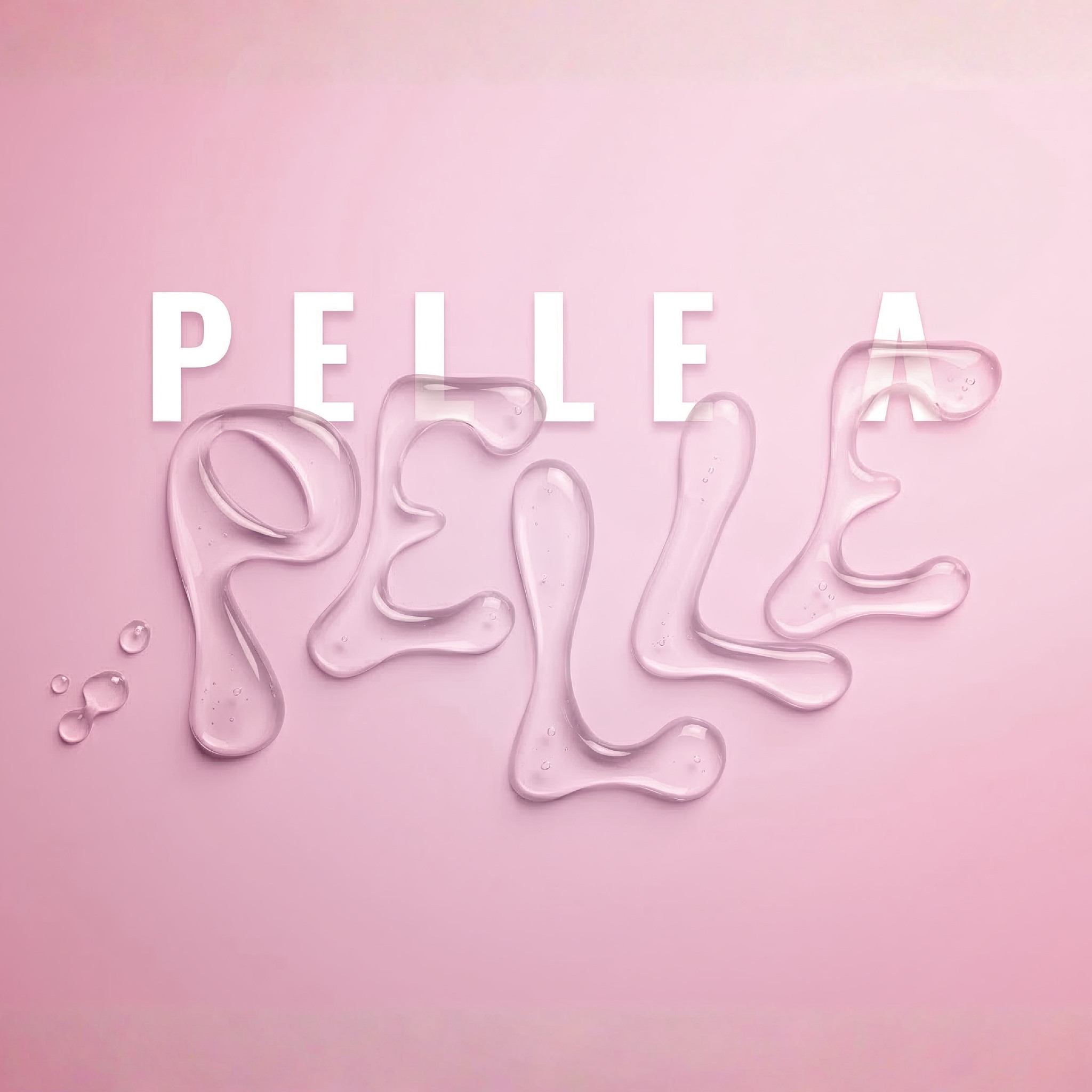 Pennello A Doppia Faccia Per Pelle E Scamosciato – Setole Dure E Morbide Per Pulire Stivali, Giacche, Divani E Borse