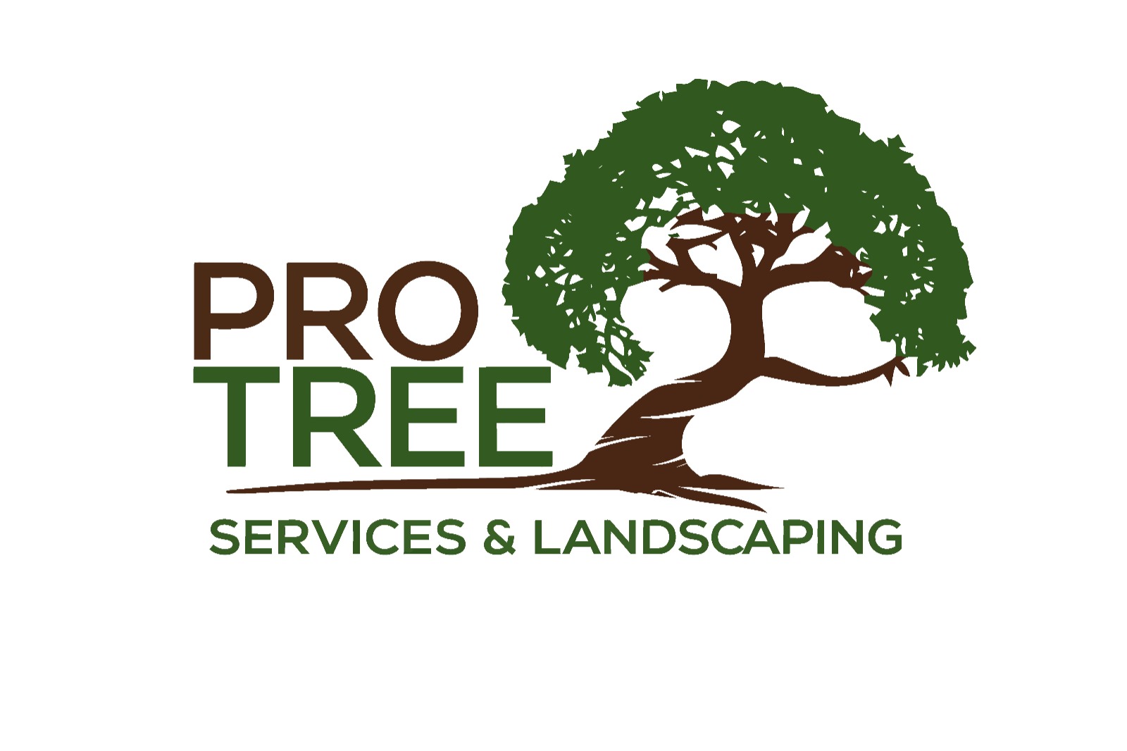 Pro Tree Services and Landscaping | Nashville TN