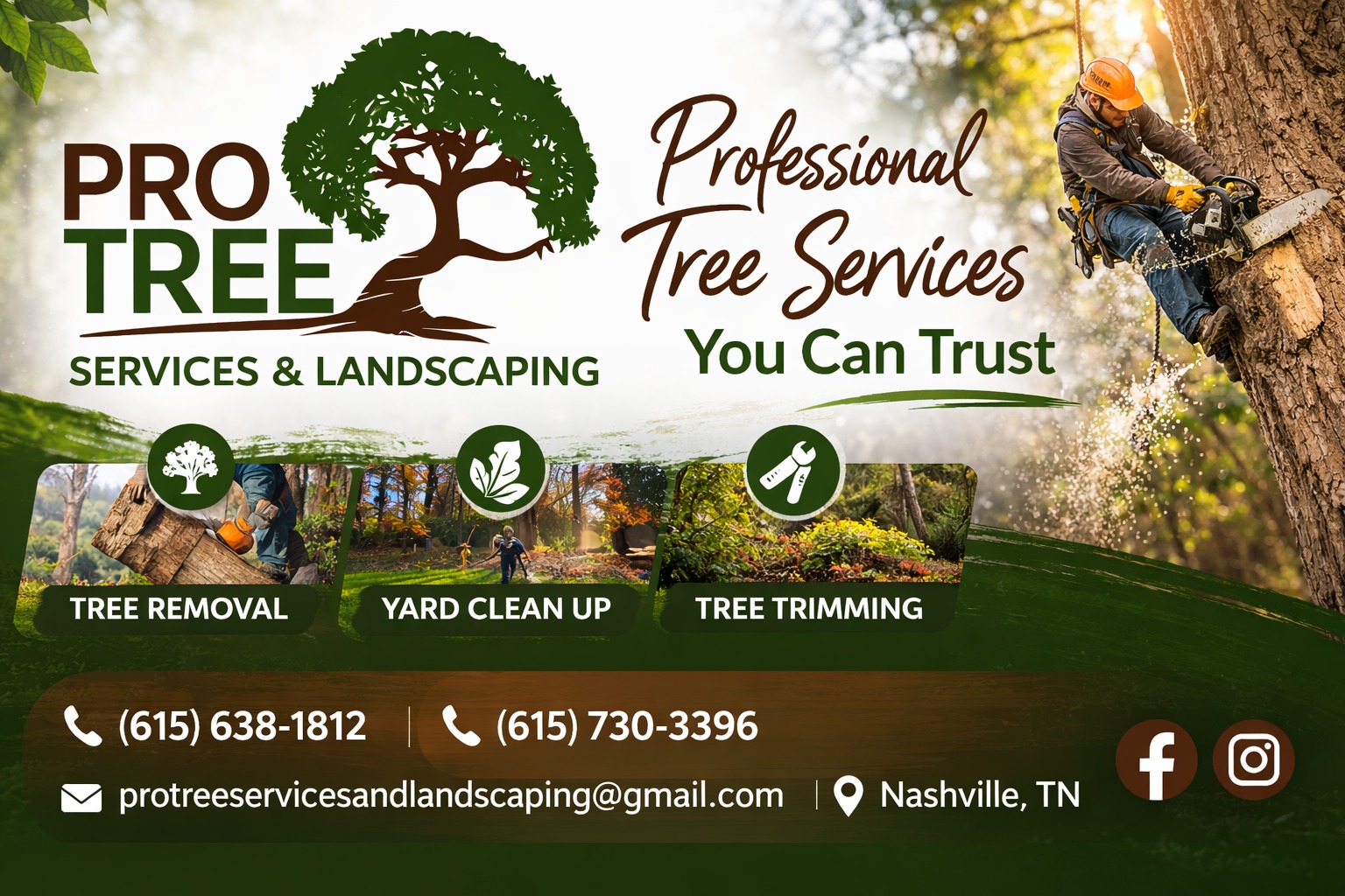 Pro Tree Services and Landscaping | Nashville TN