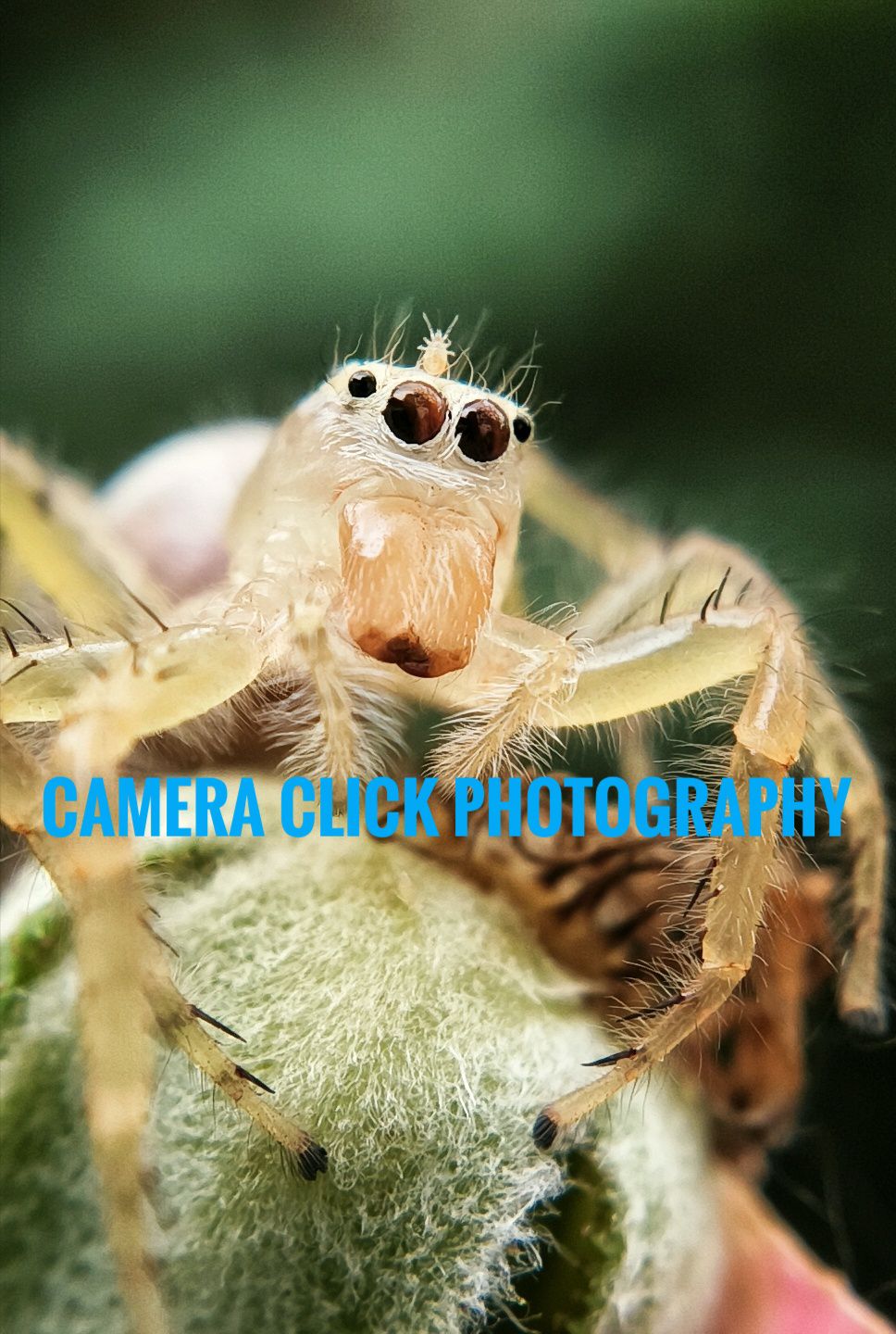 Camera click Photography