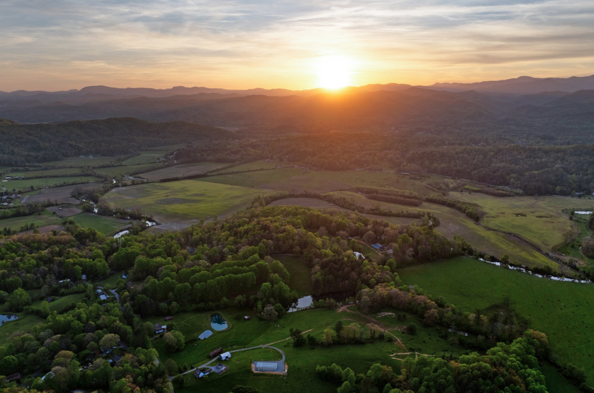 Blue Fish Farm | Brevard NC