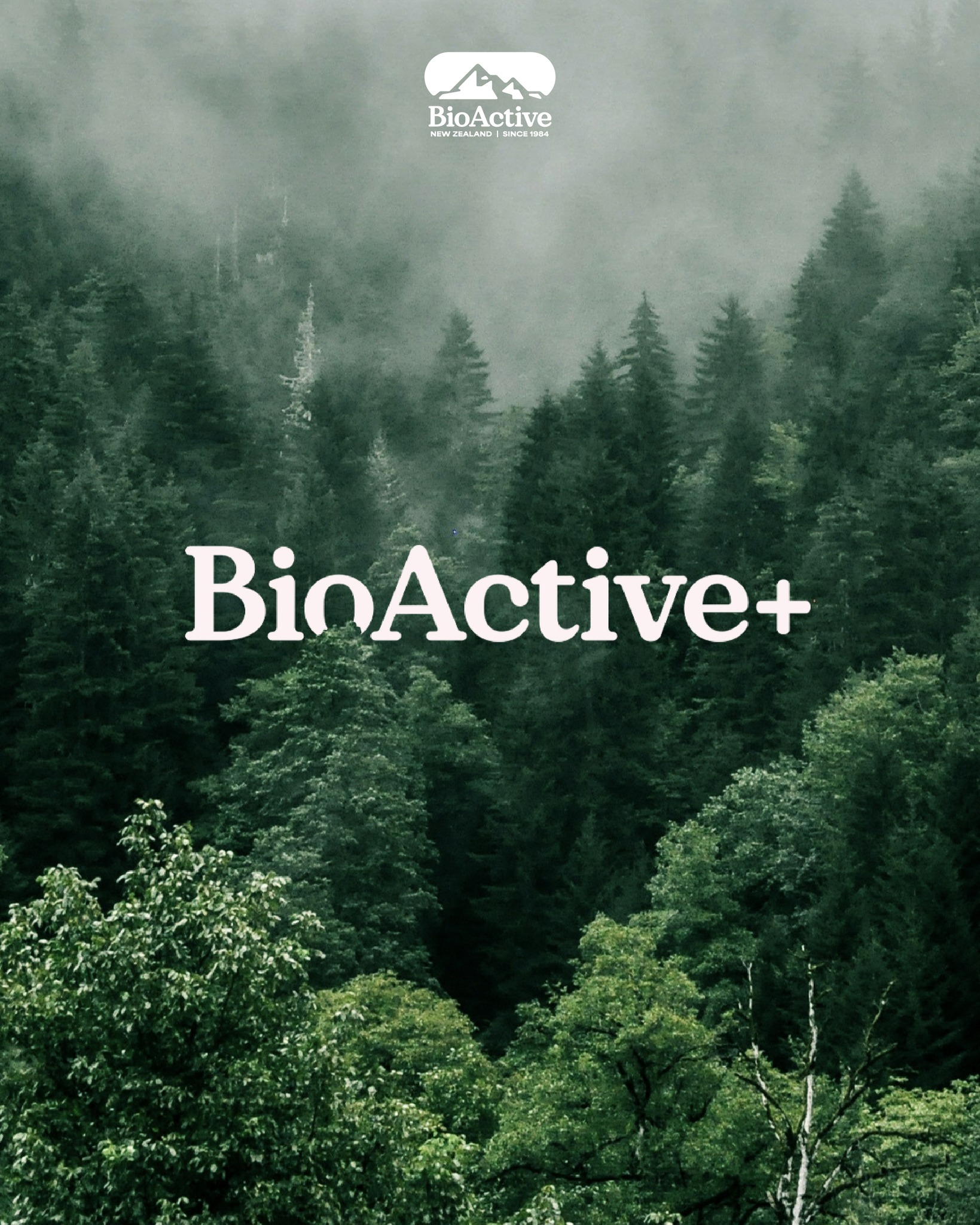 Bioactive Concentrated คอลลาเจน เข้มข้น x 10