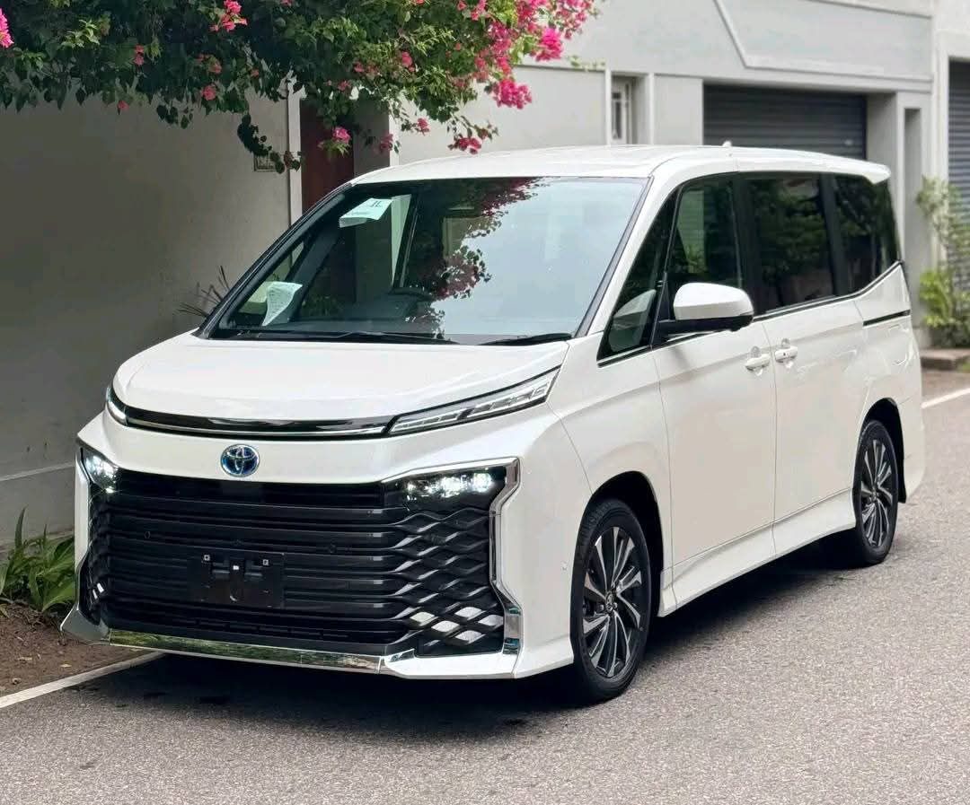 Trust Rides Car Hub
