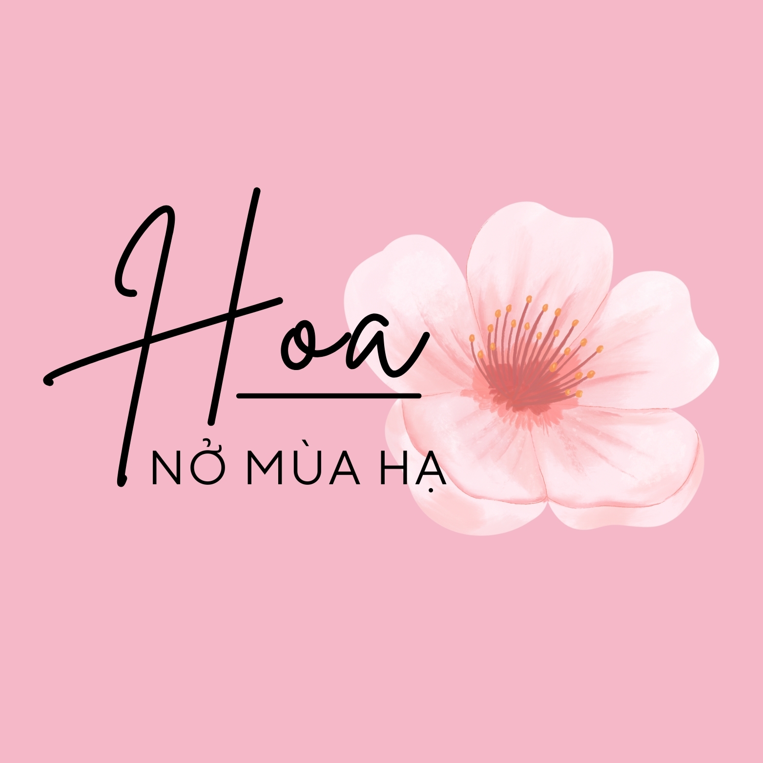 Hoa Nở Mùa Hạ