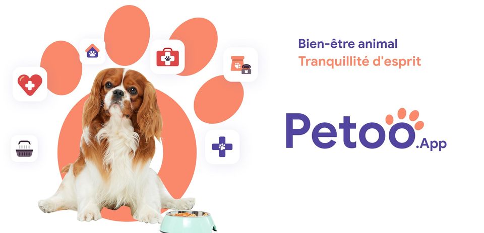 Petoo.app