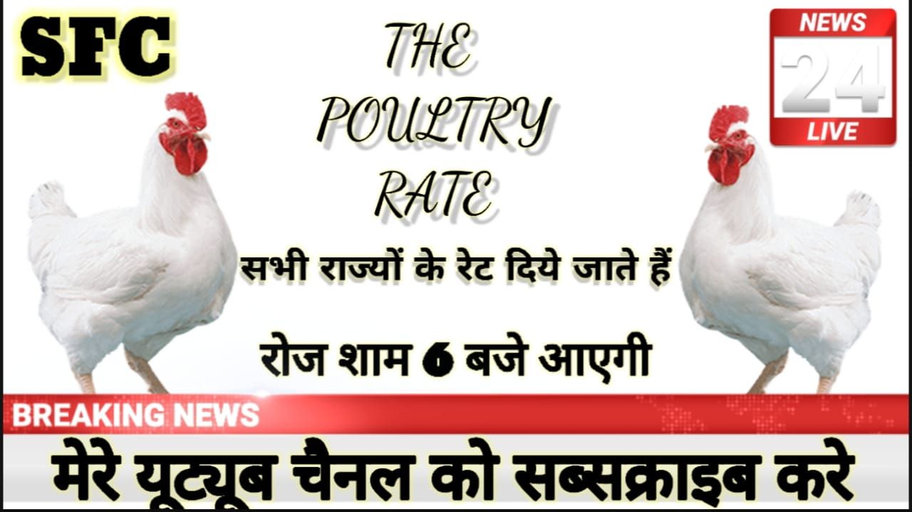 the Poultry rate | Bagli