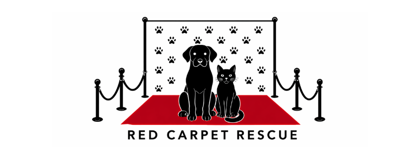 Red Carpet Rescue