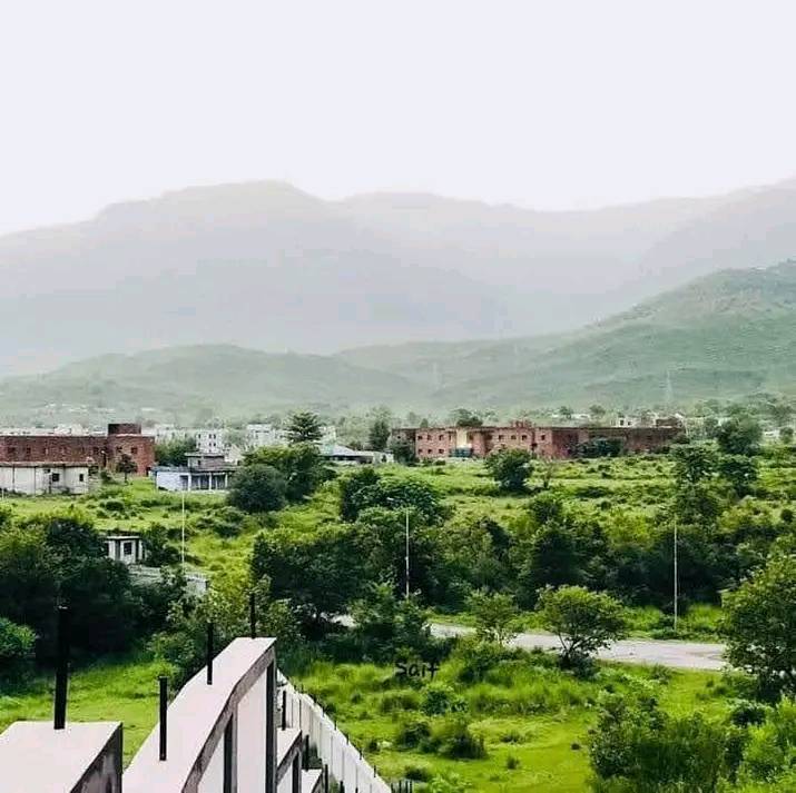 Rimsha Ali