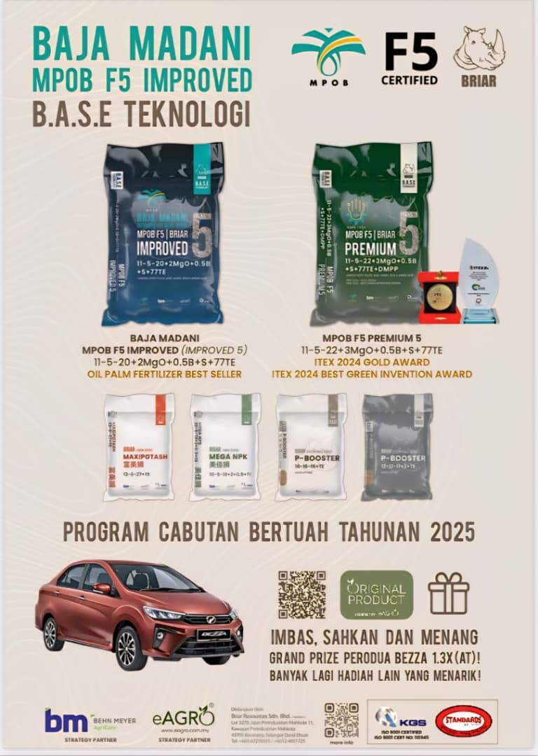 Briar SABAH | Sandakan