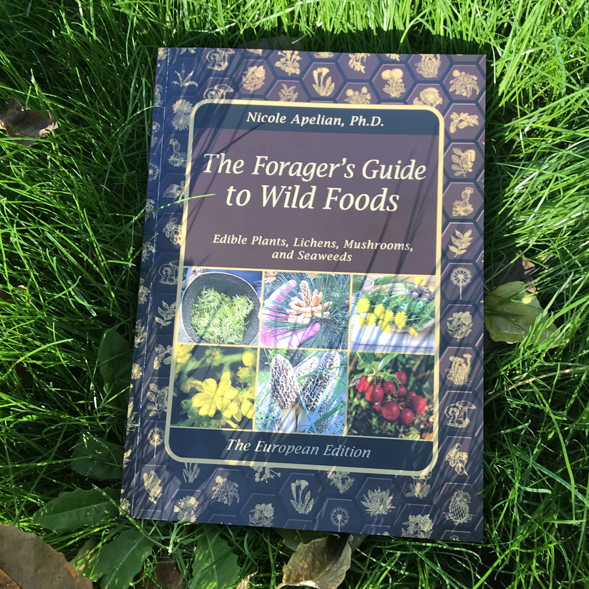 Inside The Forager’s... - The Forager's Guide to Wild Foods | Facebook