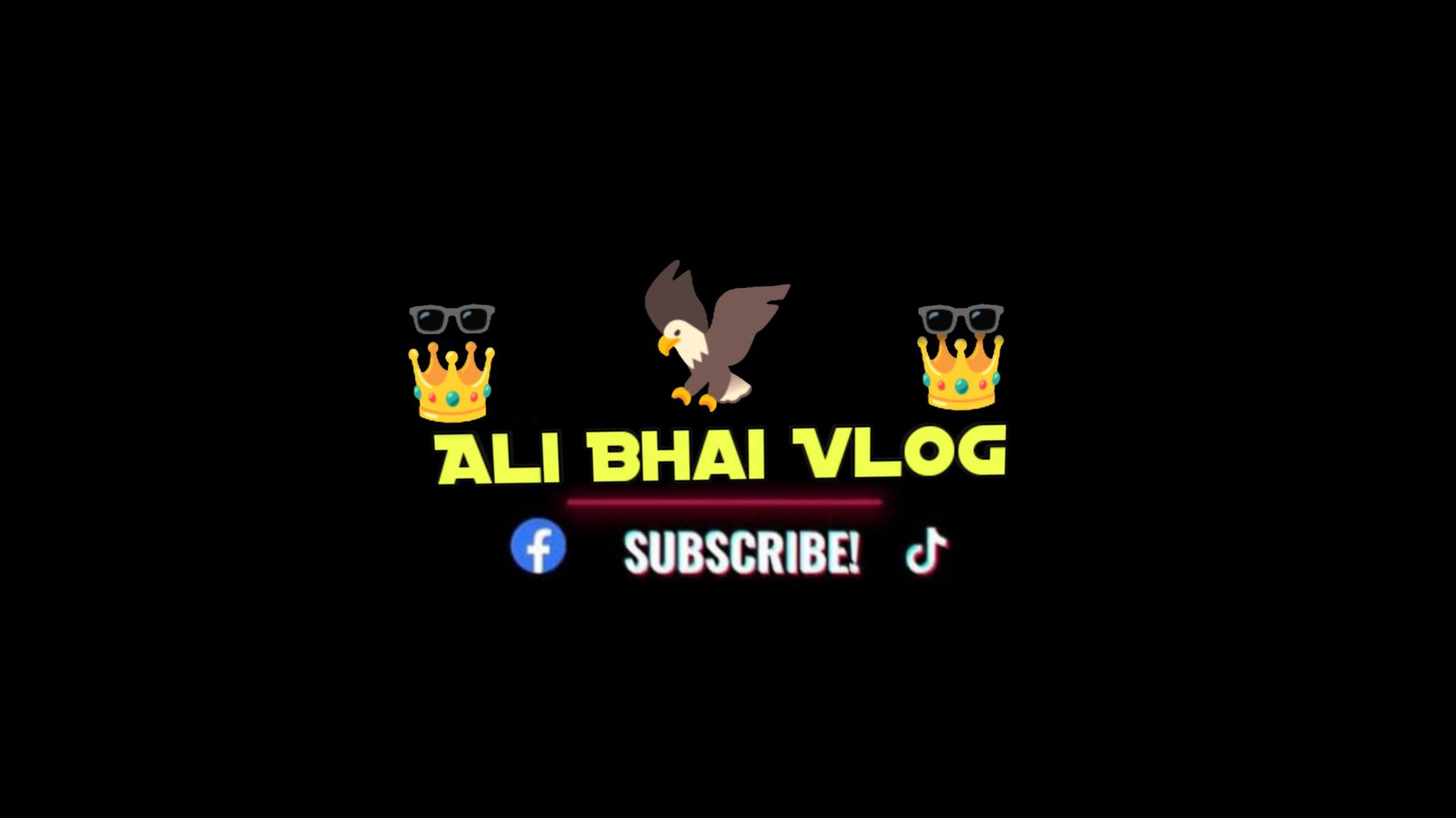 Ali Bhai Vlog