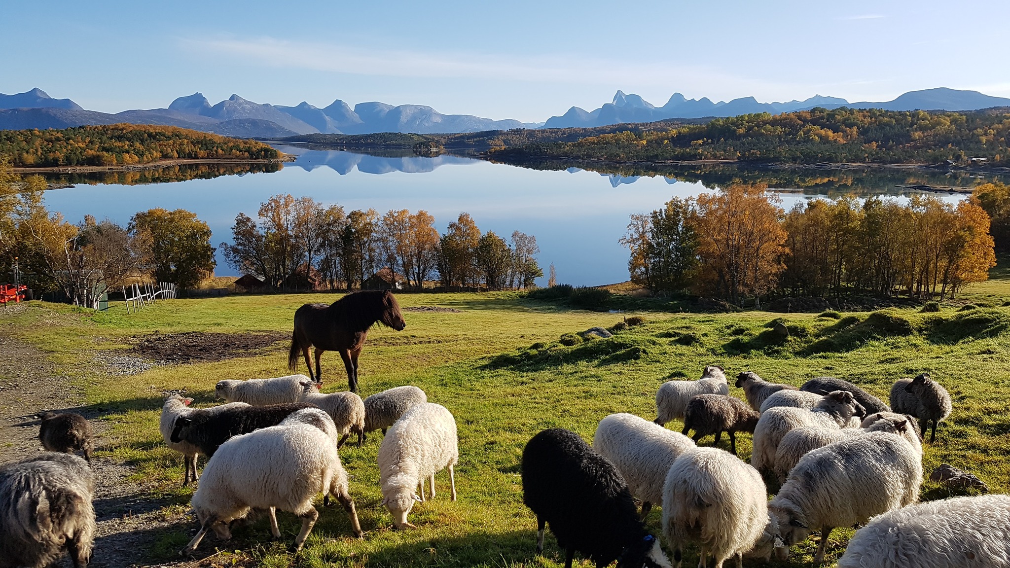 Botn Gård