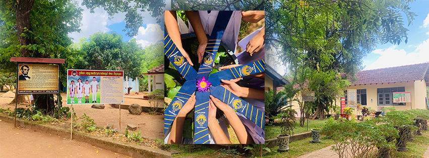 අ/සේනපුර මහ විදුහල