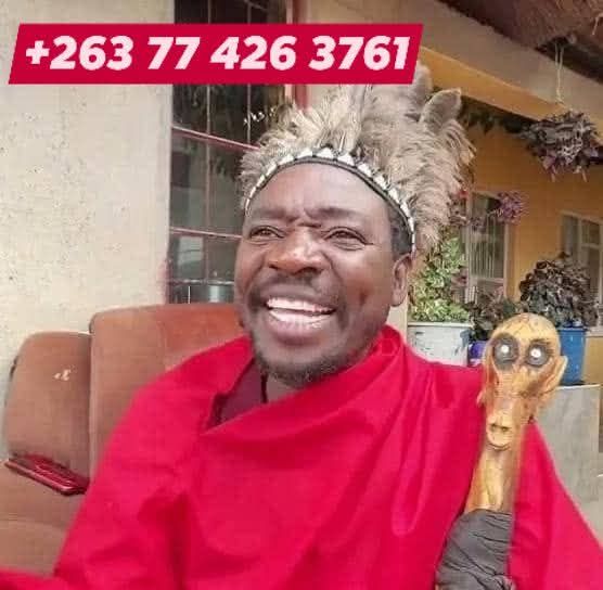 SHUMBA LION ISILWANE Shumba Samaita is a Zimbabwean totem/mutupo ...