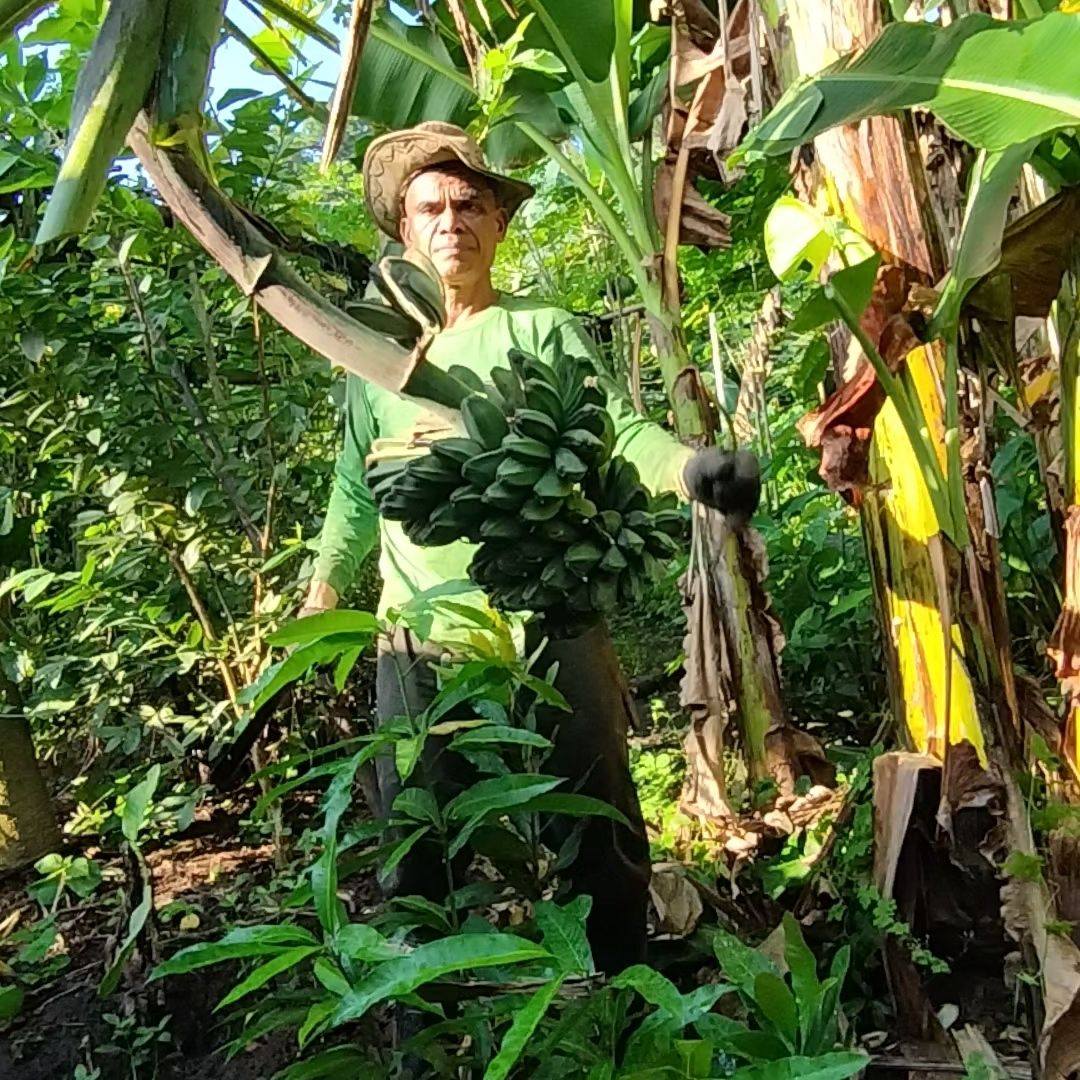 Kataga Farming | Rizal