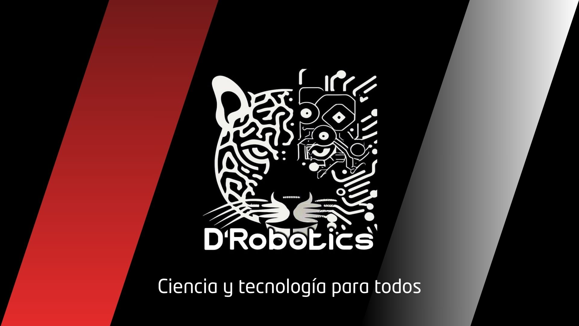 D'Robotics