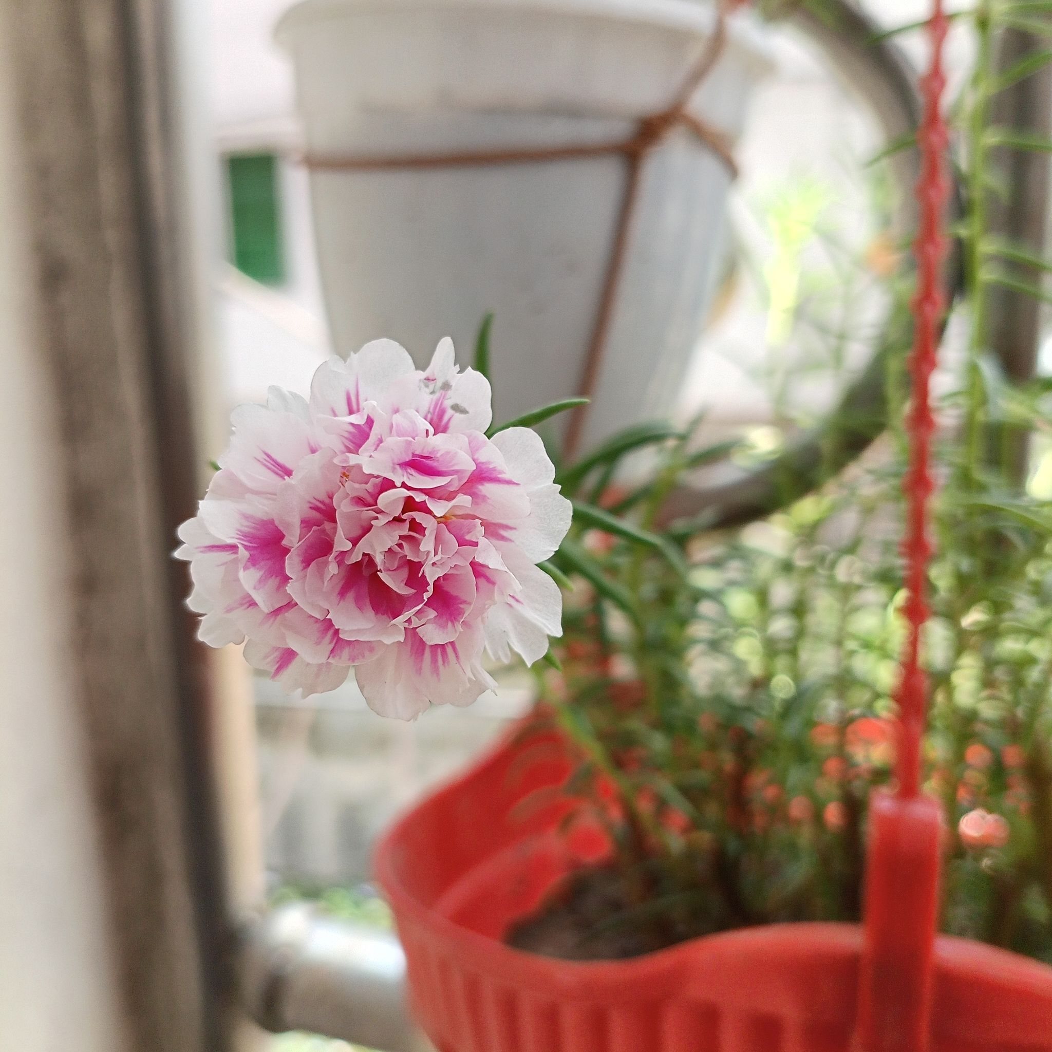 Mst Jannaty Khanom