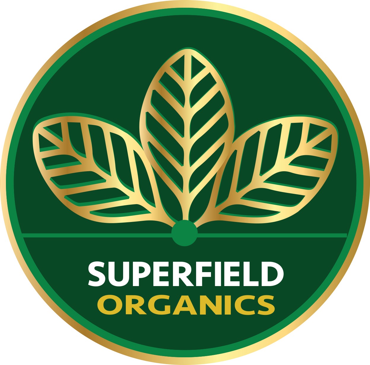 Superfields