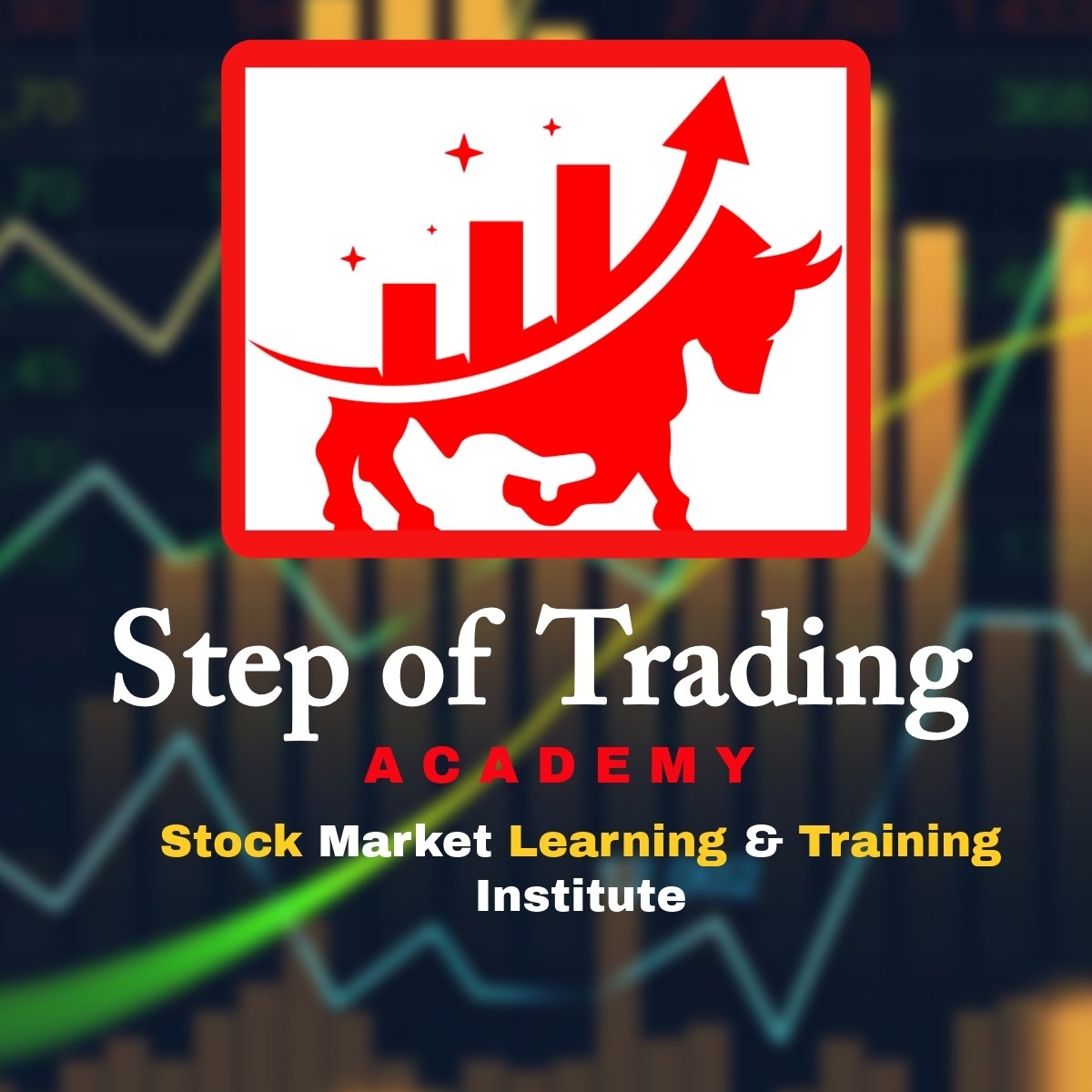 Step of Trading Academy | Bhagalpur
