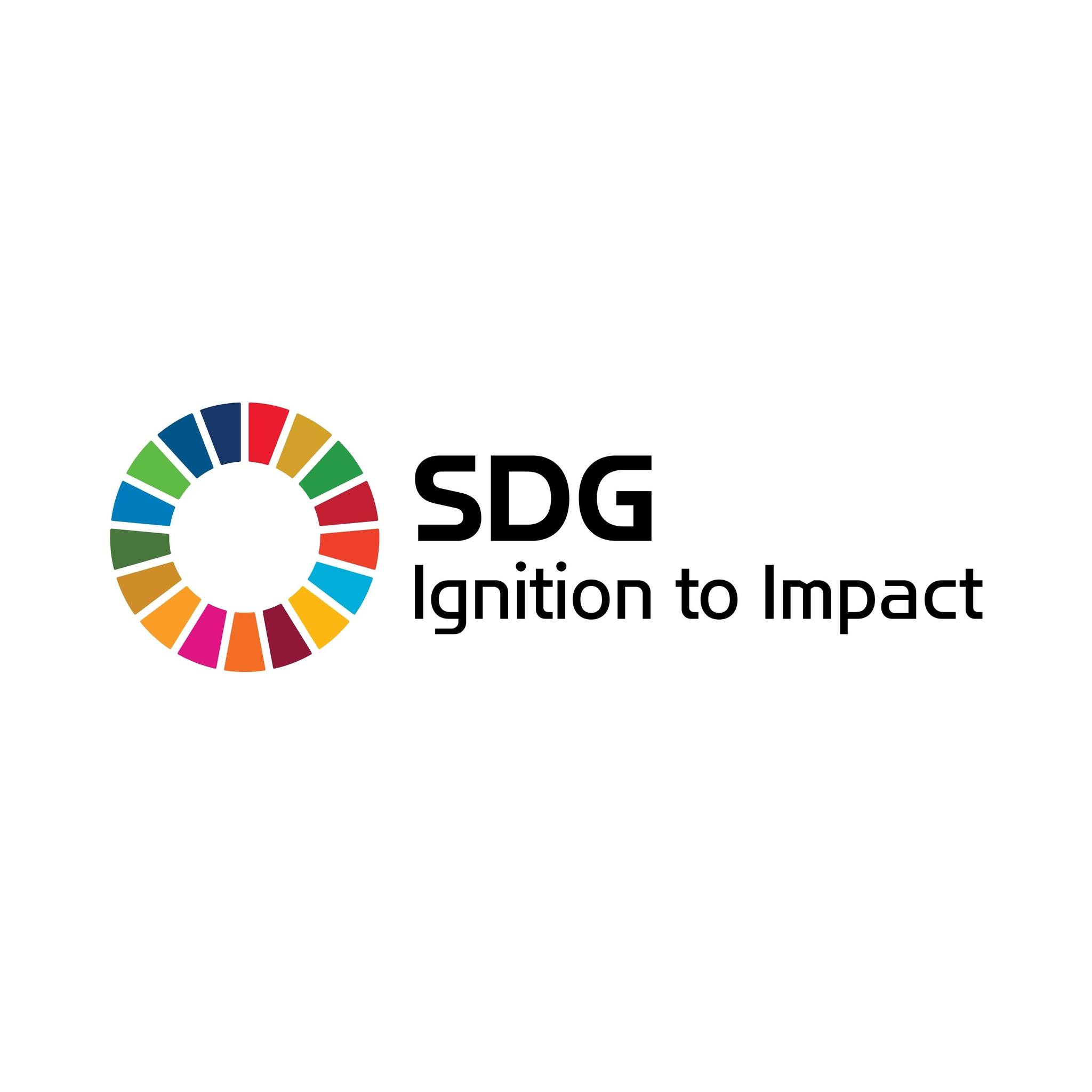Workshop 01 — Beyond the... - SDG Ignition to Impact | Facebook