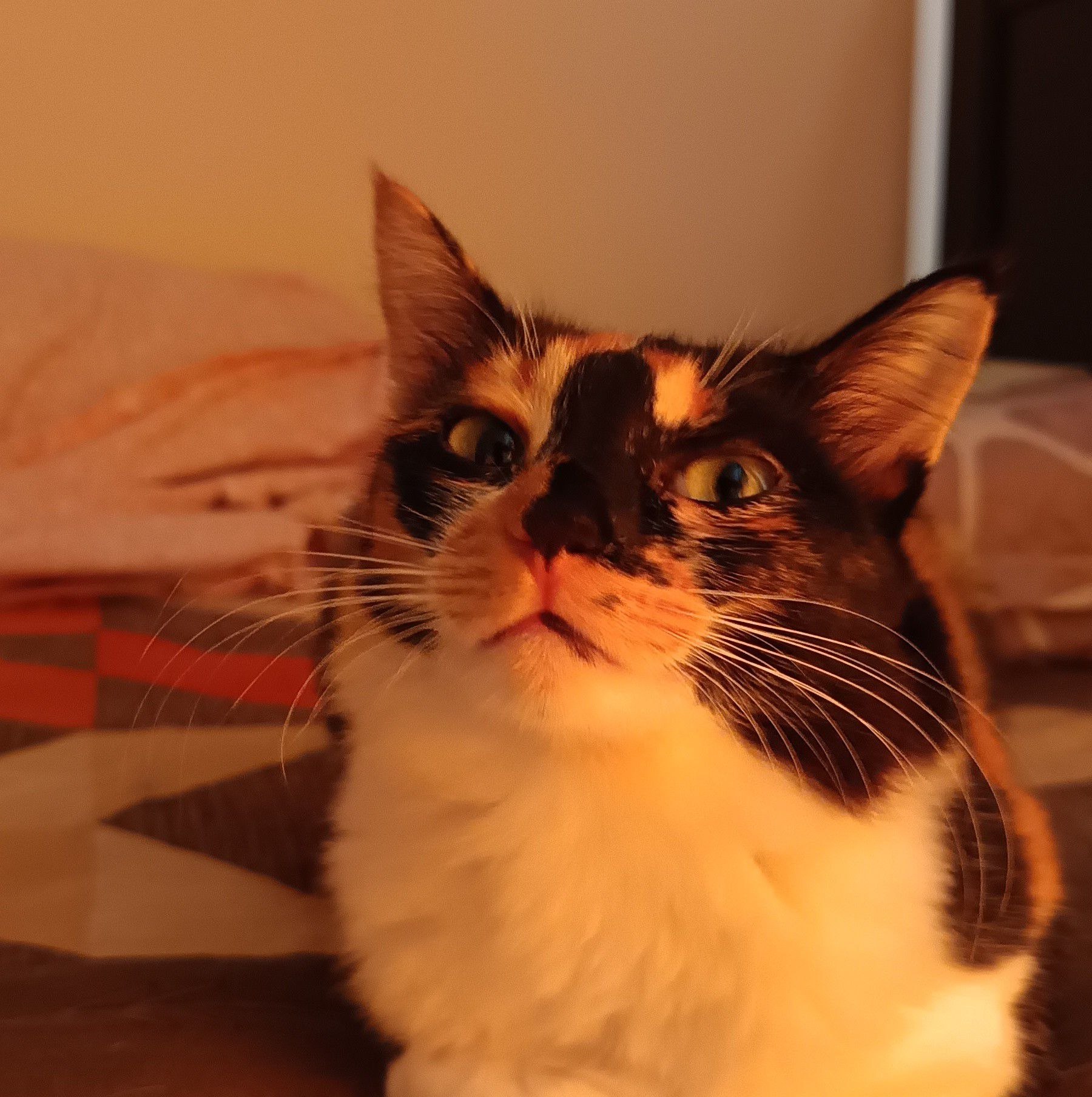 Part 2: Half an hour after Part 1 (my previous video), she woke up to ...