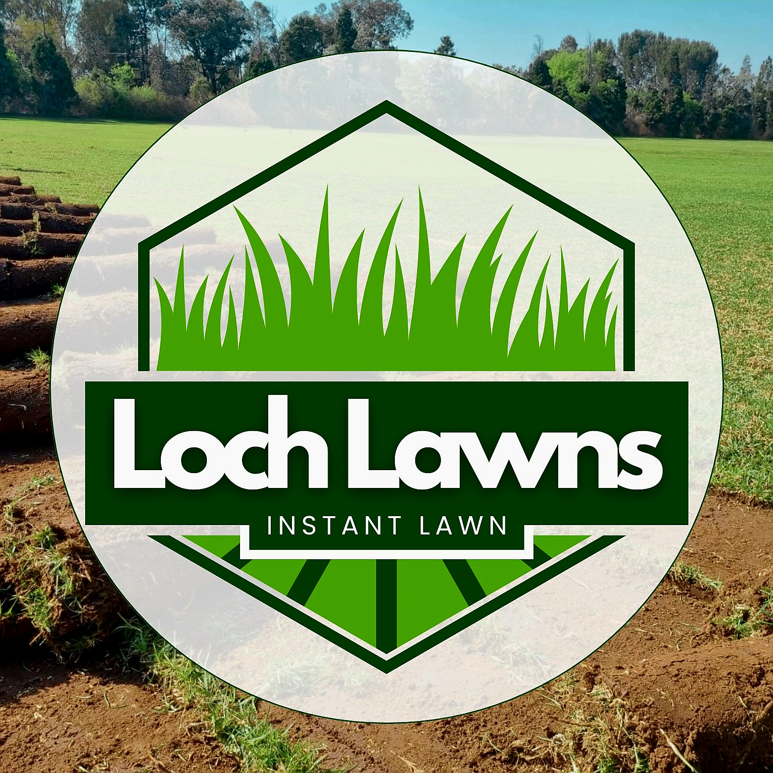 🌱 Soil Preparation = Lawn Success! 🌱 Before laying a new lawn, one of ...