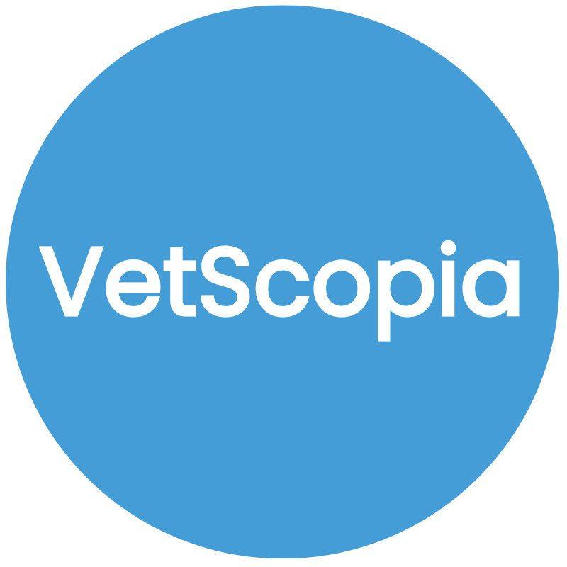 Does your dog really vomit after eating, or is it regurgitating ...