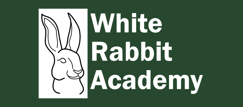 White Rabbit Academy | Mold