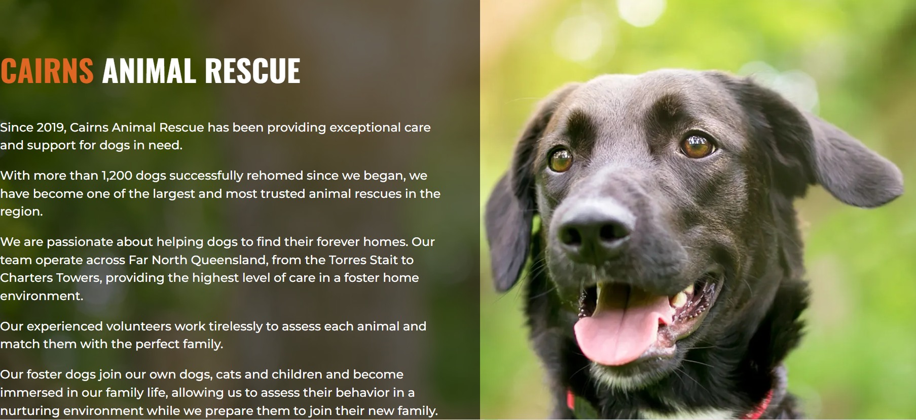 Cairns Animal Rescue | Gordonvale QLD