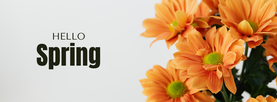 Aftab Flowers Shop | Layyah
