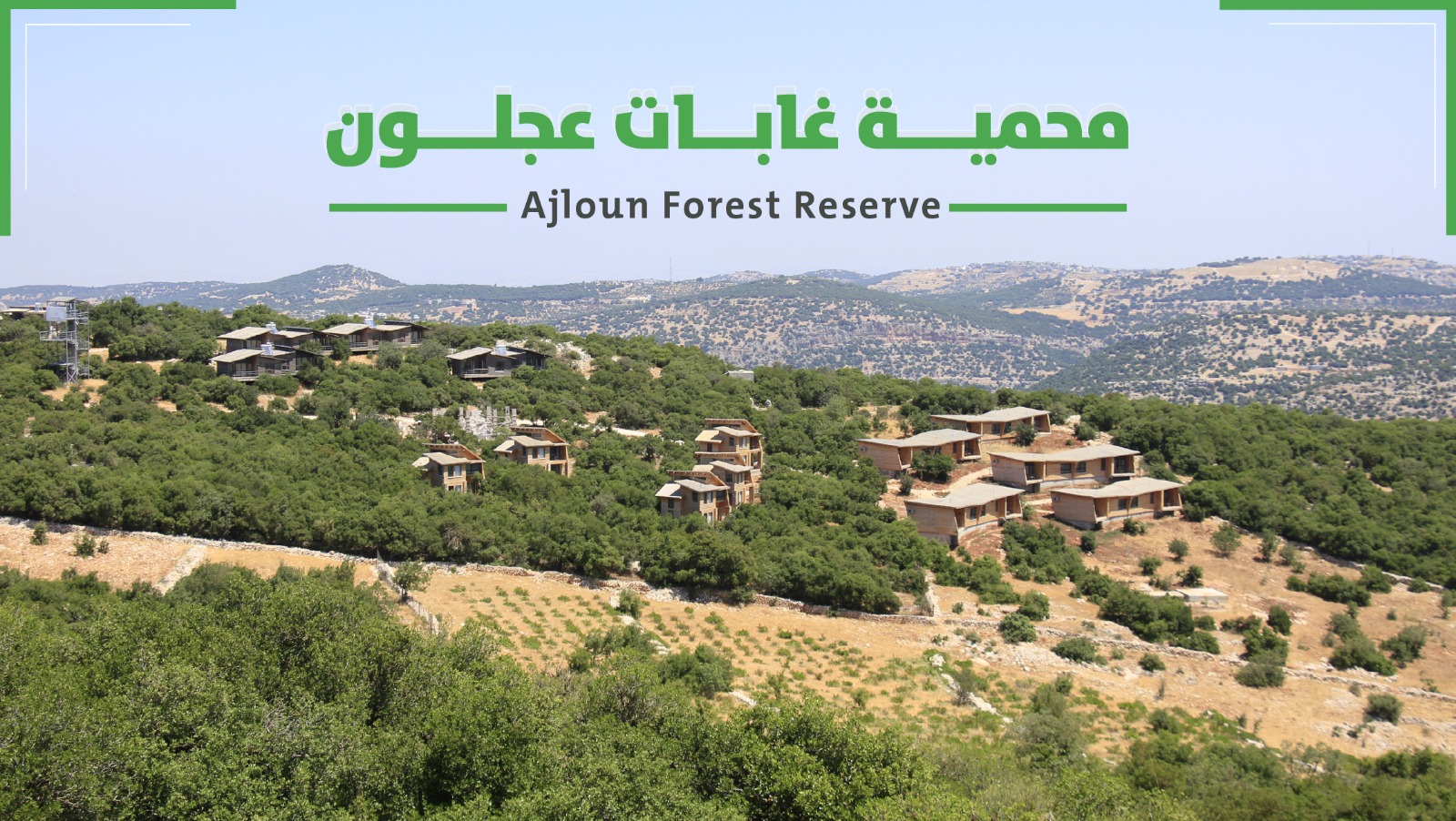 Ajloun Forest Biosphere Reserve محمية غابات عجلون للمحيط الحيوي | Umm ...