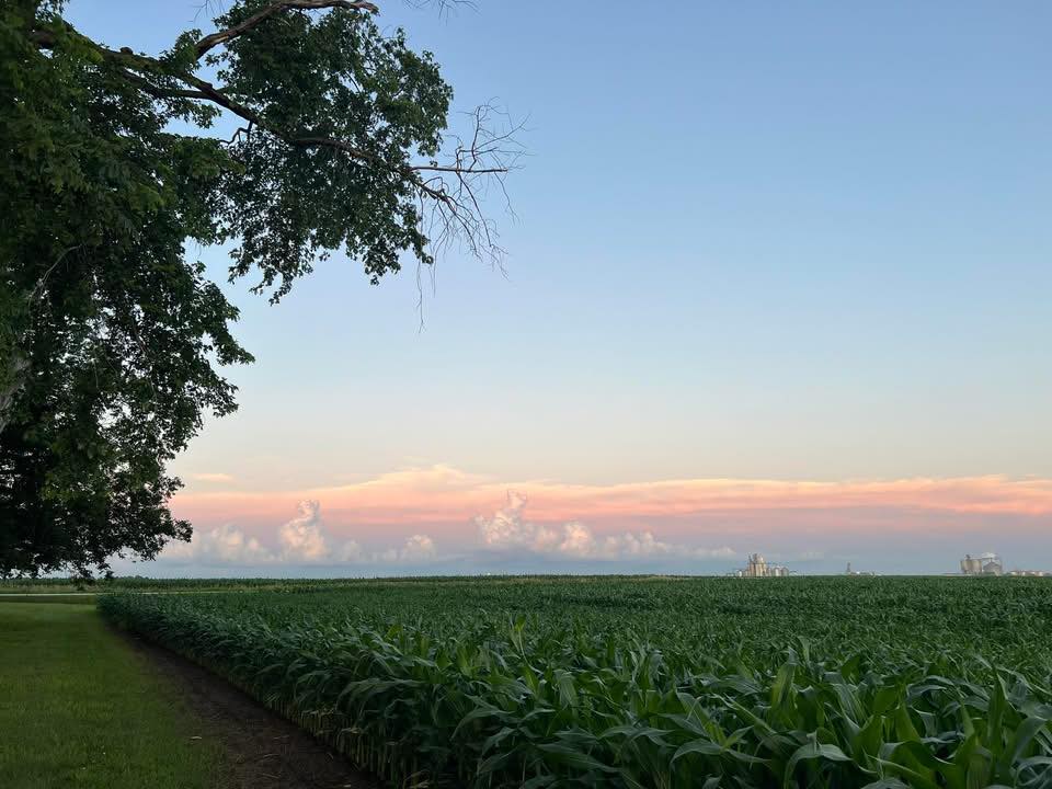 Badger Creek Farms LLC | Nevada IA