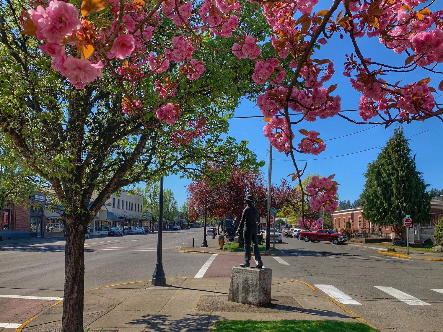 Shelton Creative District