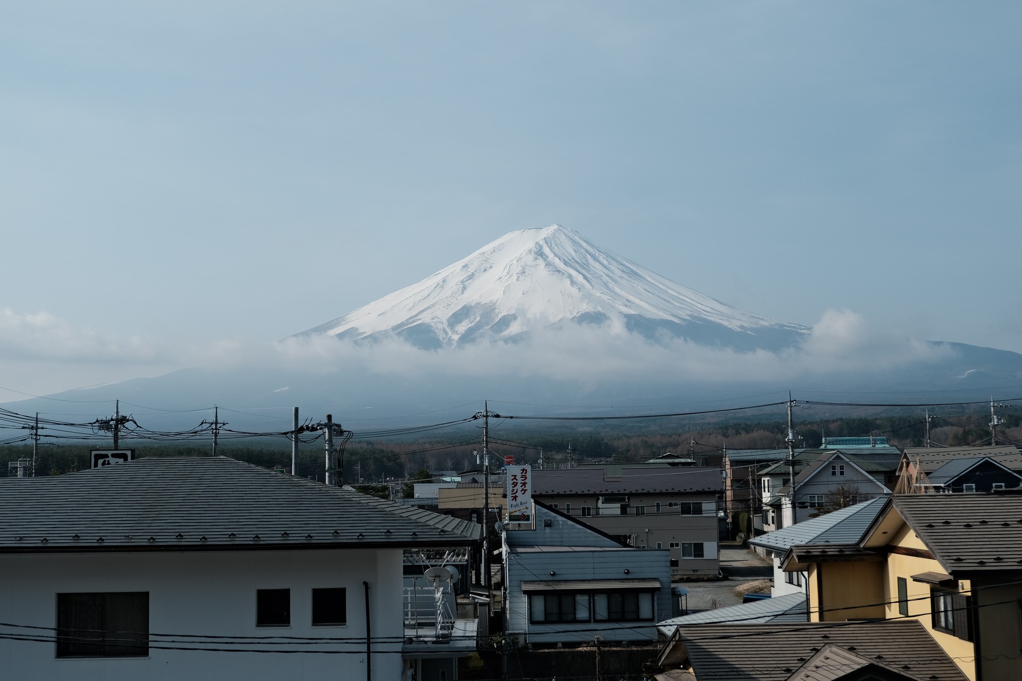 九日