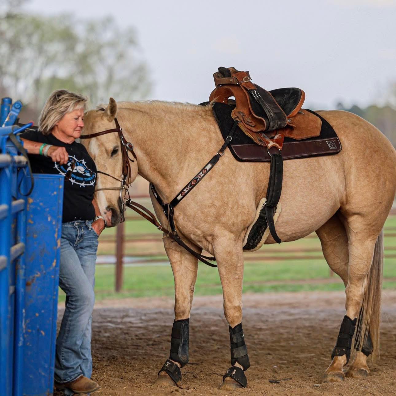 Cheap Horses for good homes | COLOR: Blueroan | Facebook