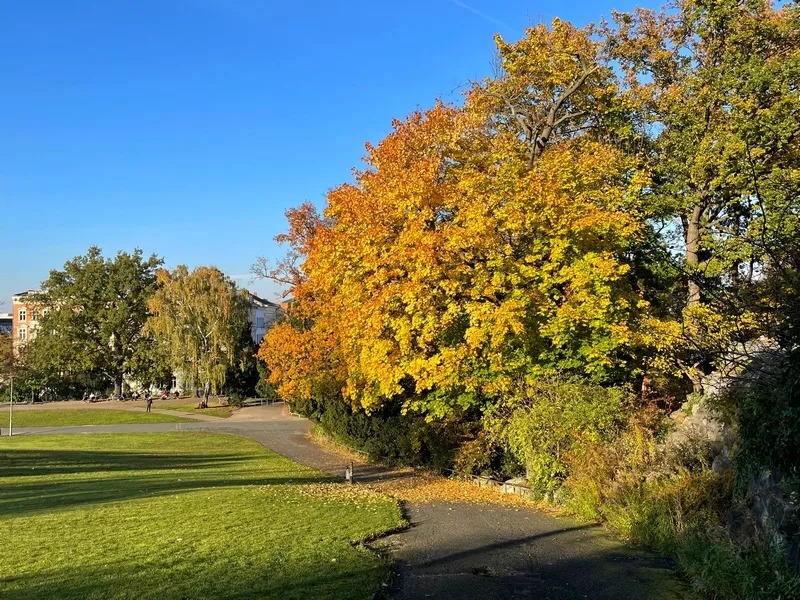 What are the best Berlin parks for local life and nature?