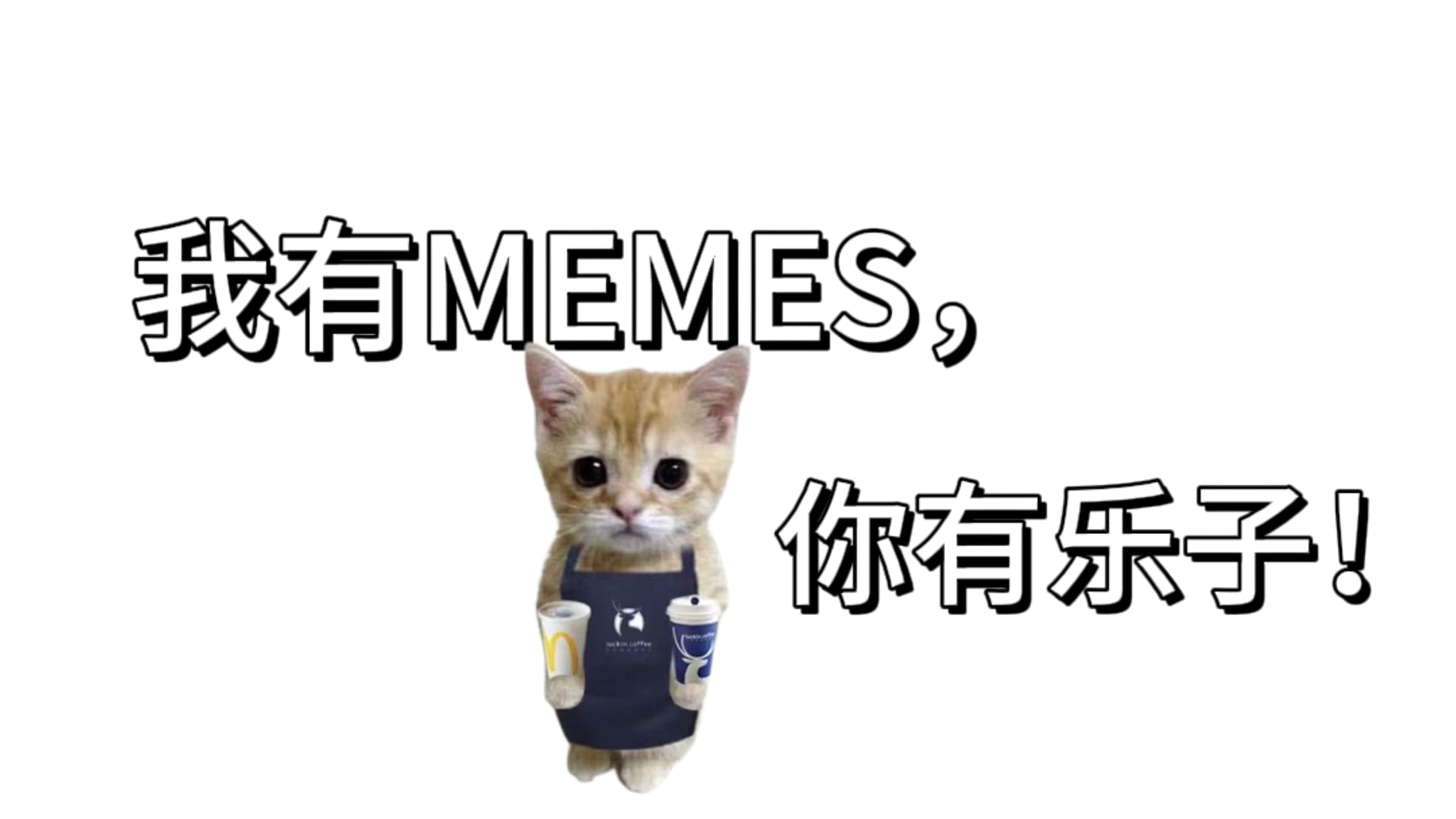 乐子人 MEMES