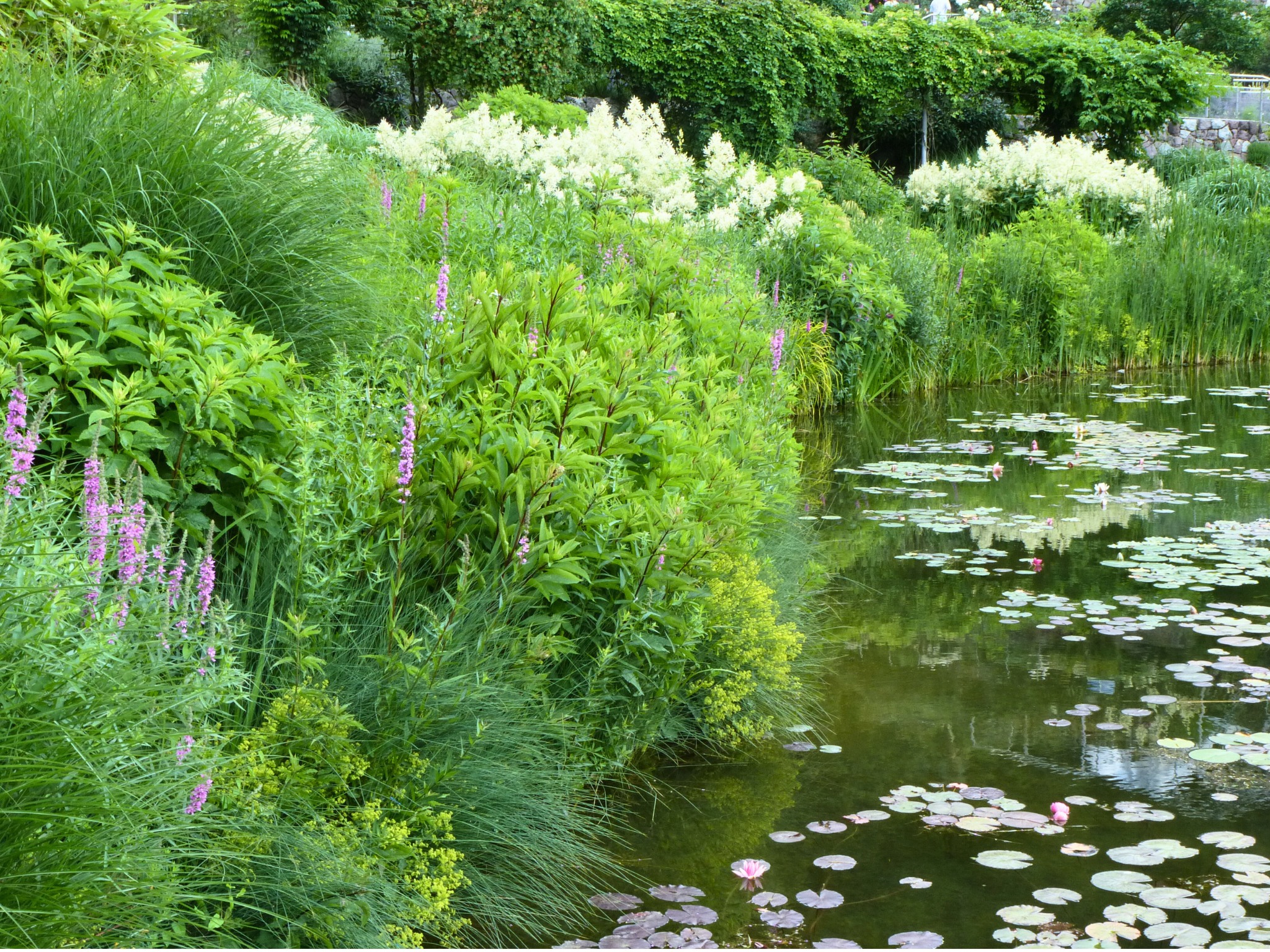 BIG progettazione giardini di Elisa Bottaretto
