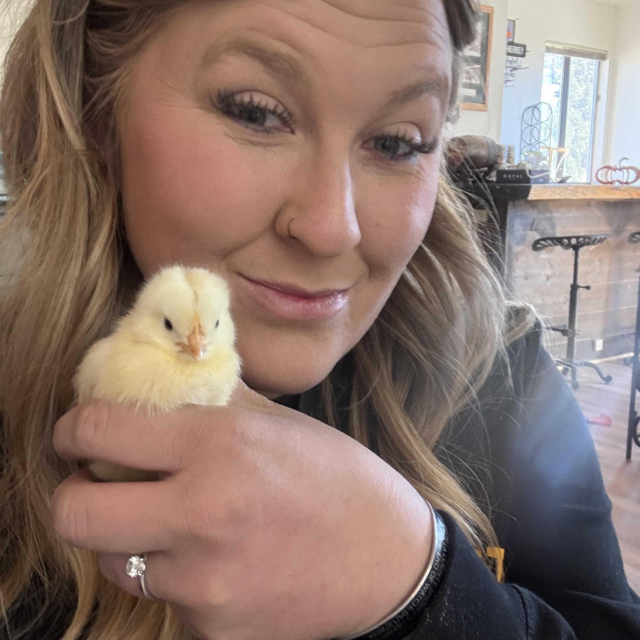 What animal is the best for a small homestead besides chickens?? | Facebook