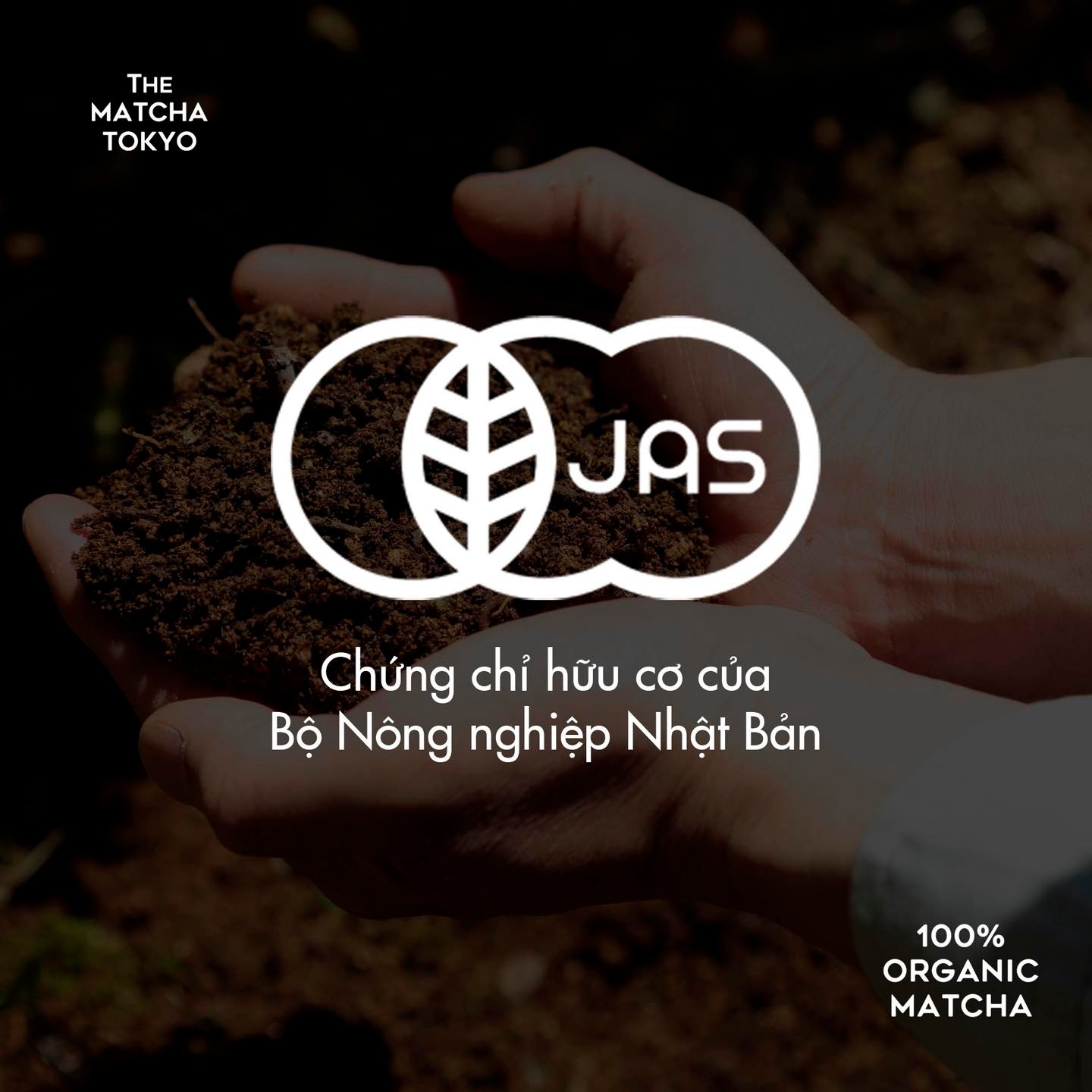 The Matcha Tokyo Vietnam | Hanoi