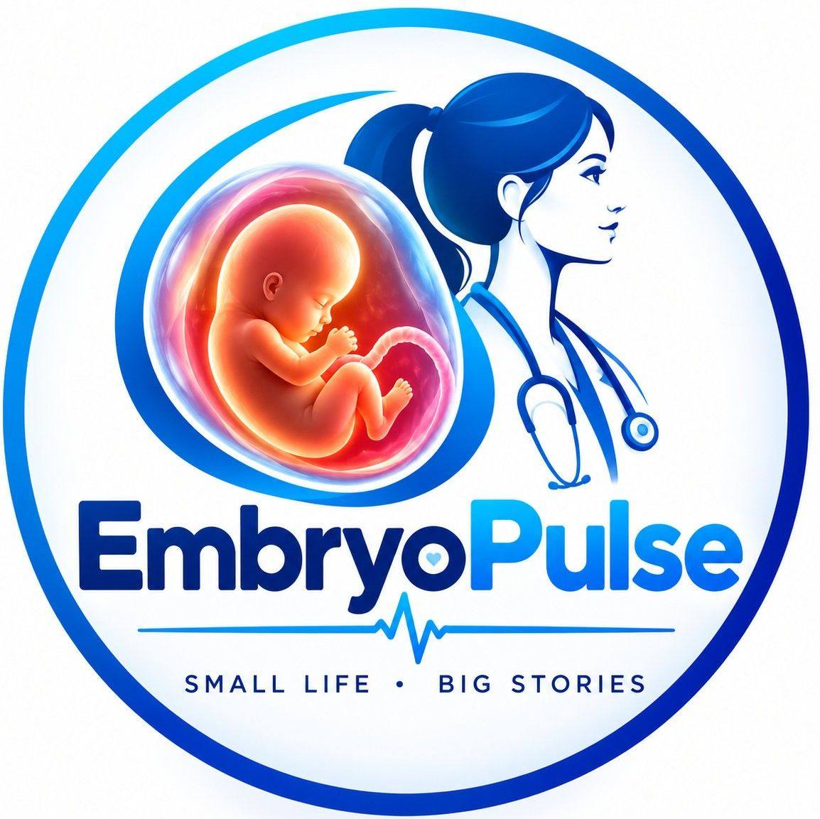 EmbryoPulse - Understanding the position of your baby is... | Facebook