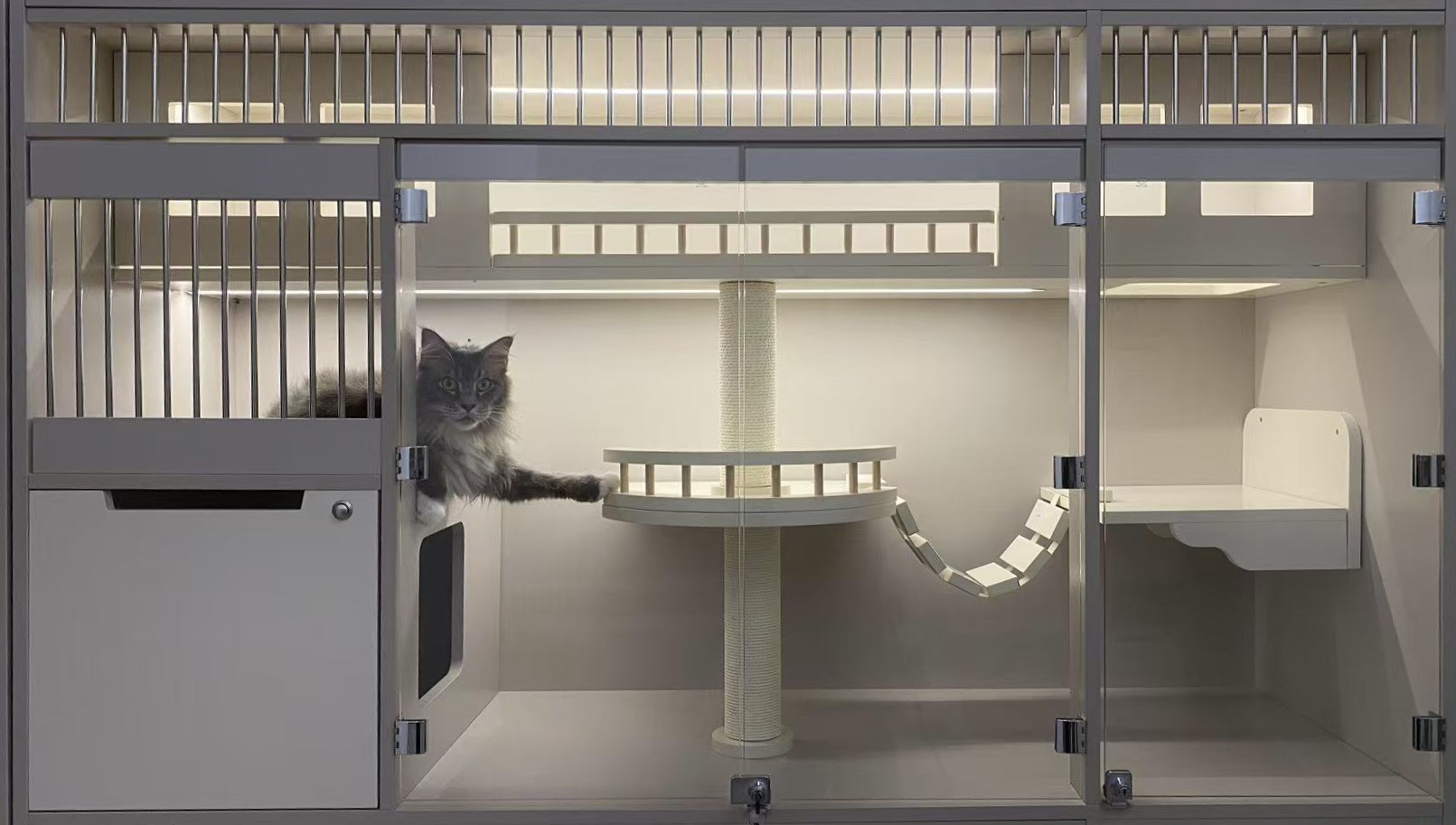 Dooby Cat House | Johor Bahru
