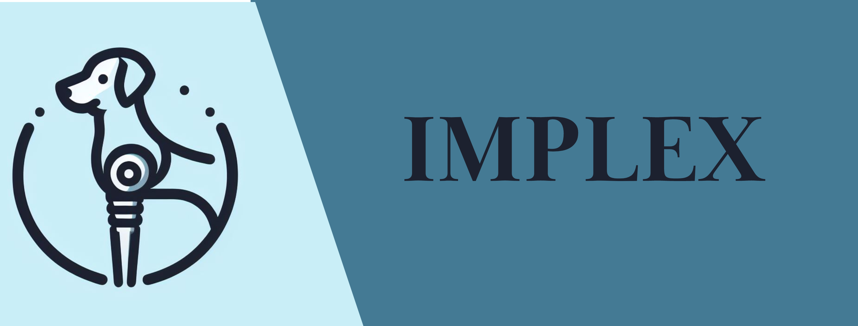 Implex | Kyiv
