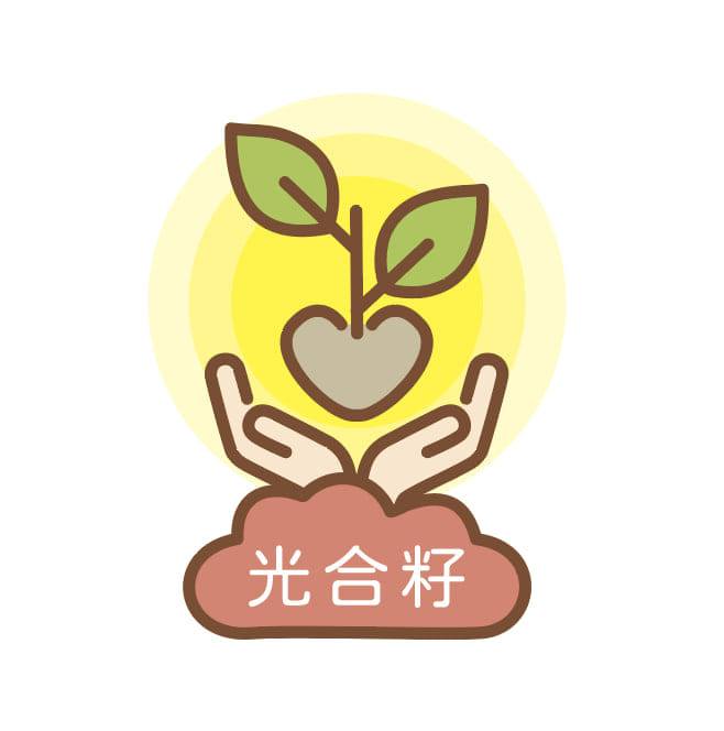 光合籽 SEL團隊